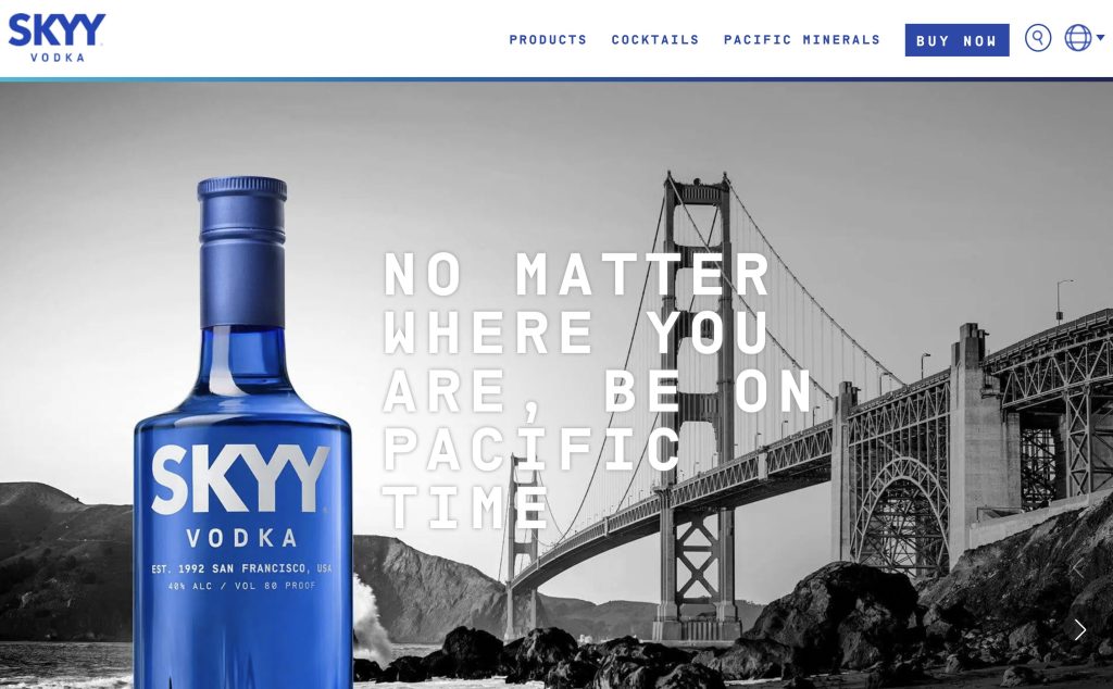 Skyy vodka website
