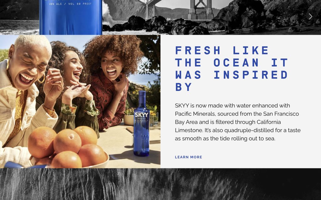 Skyy vodka product page